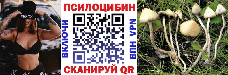 Псилоцибиновые грибы ЛСД цена blacksprut ТОР Плавск